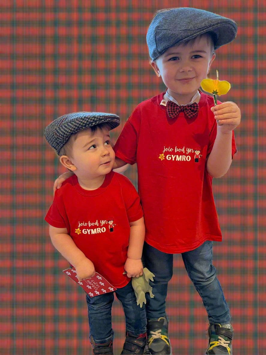 Crys T/Tshirt- Joio/caru bod yn Gymro/Gymraes plant ac oedolion