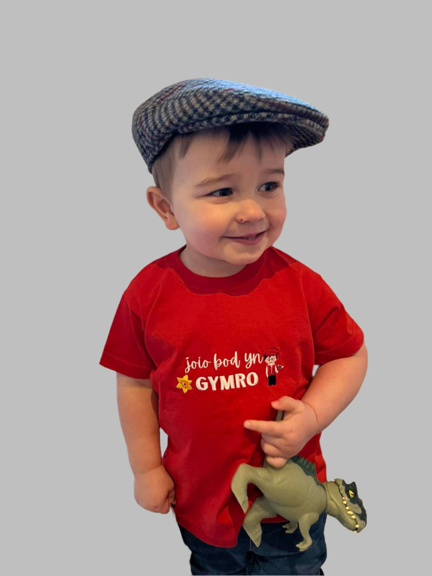 Crys T/Tshirt- Joio/caru bod yn Gymro/Gymraes plant ac oedolion