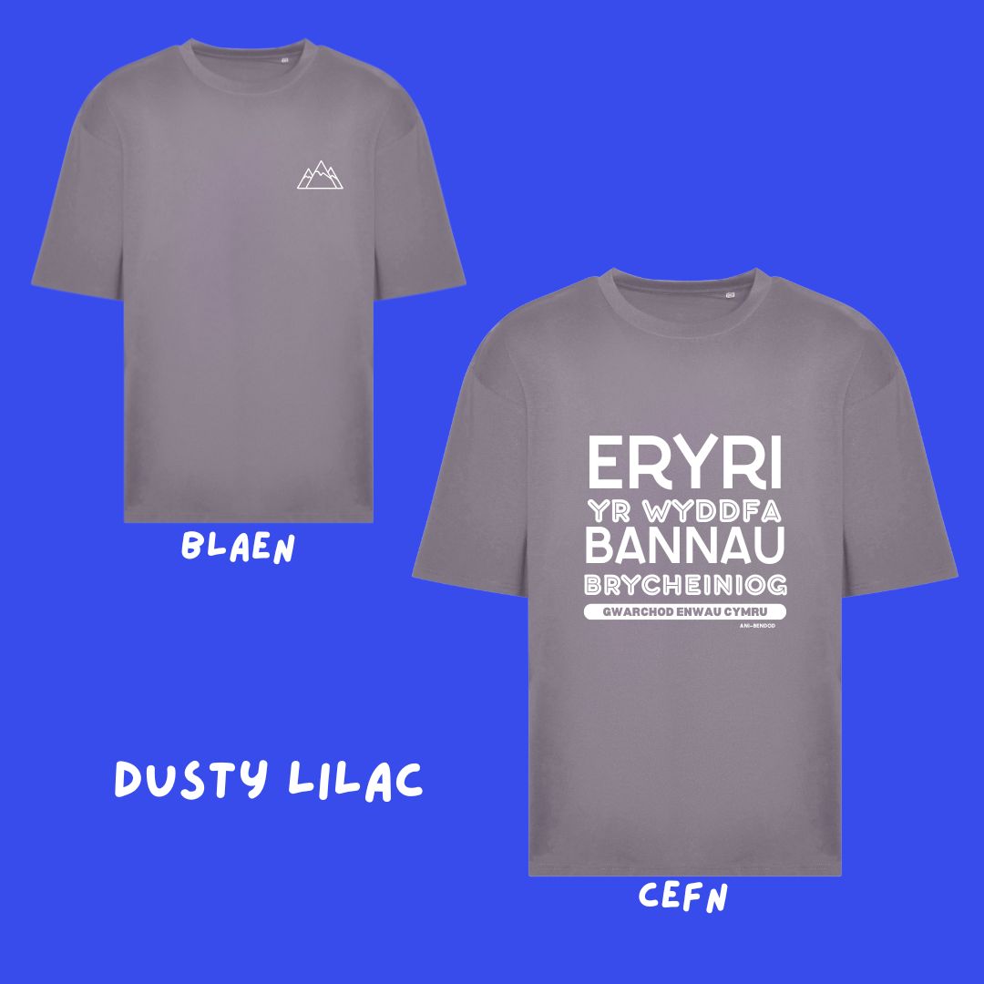 Crys T Gwarchod Enwau Cymru Oversized T-shirt