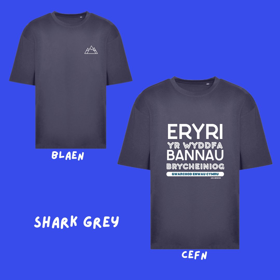 Crys T Gwarchod Enwau Cymru Oversized T-shirt