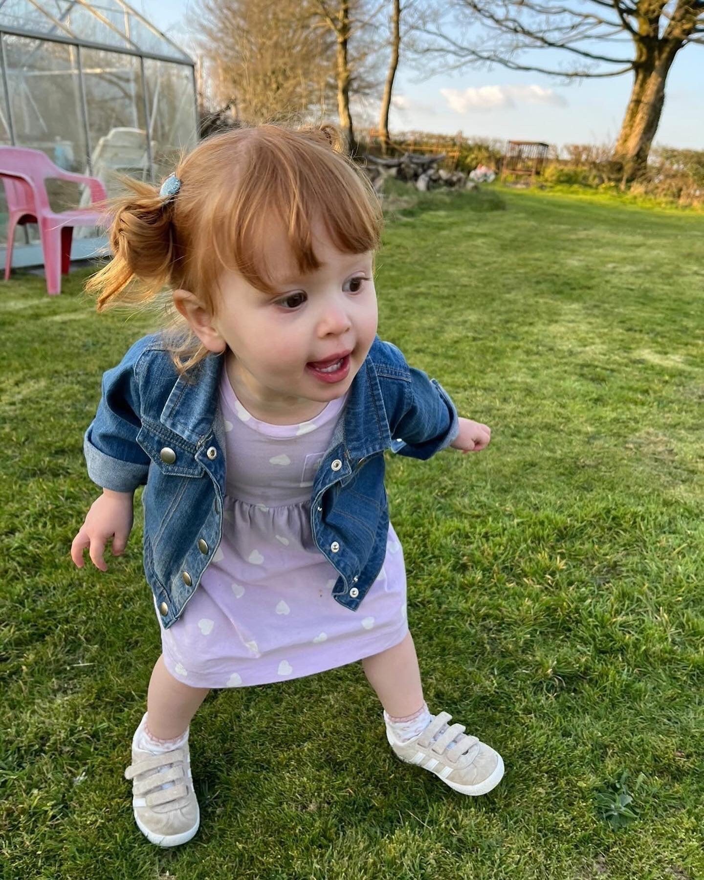 Denim Jacket- 'Dilyn dy freuddwydion' ani-bendod