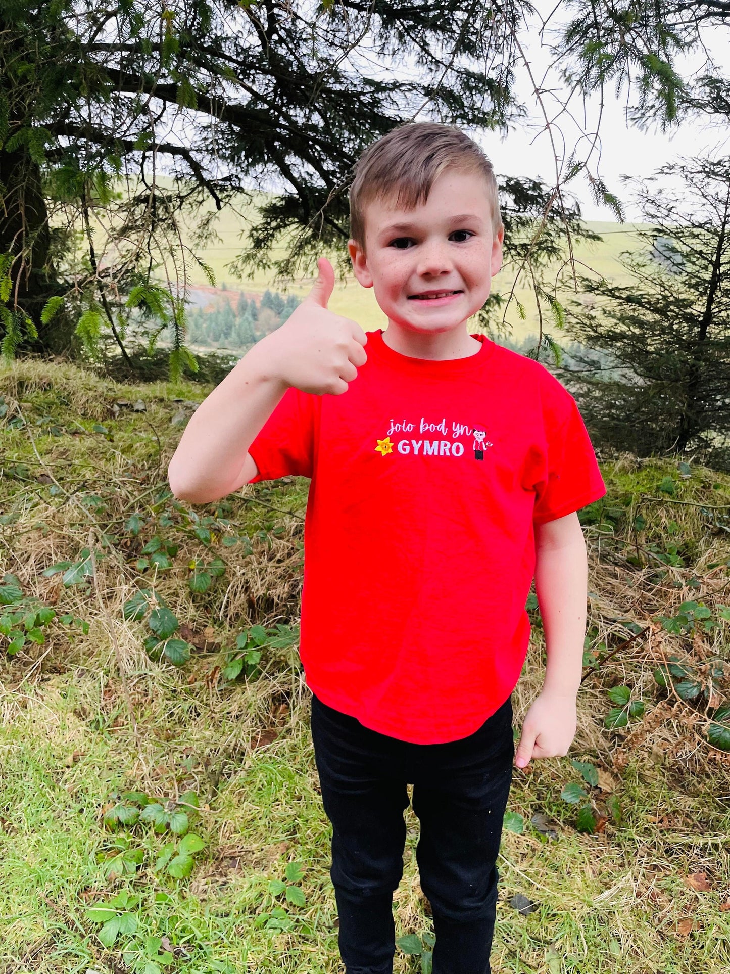 Crys T/Tshirt- Joio/caru bod yn Gymro/Gymraes plant ac oedolion