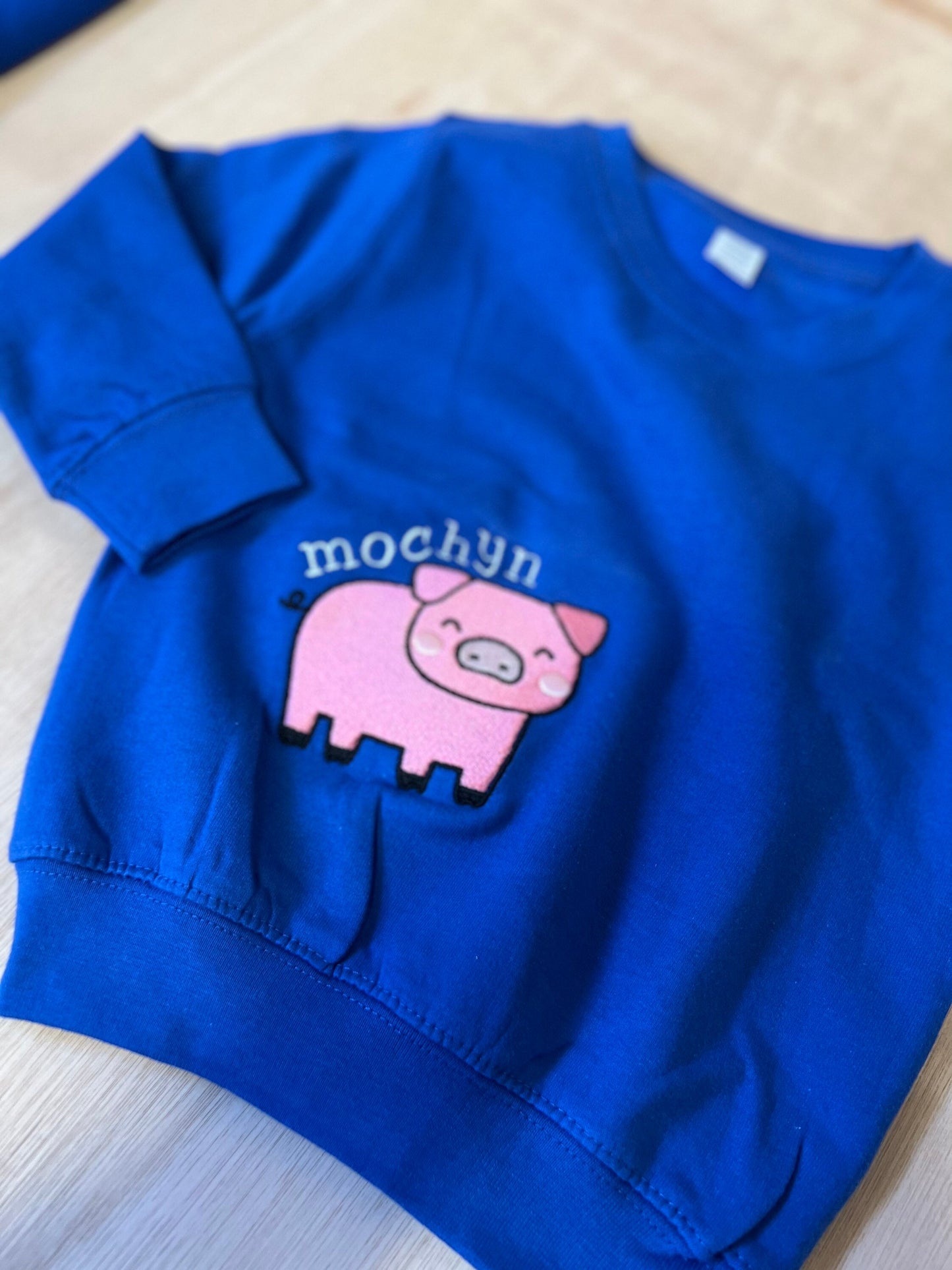 GLAS- Siwmper y fferm ani-bendod farm Sweatshirt BLUE