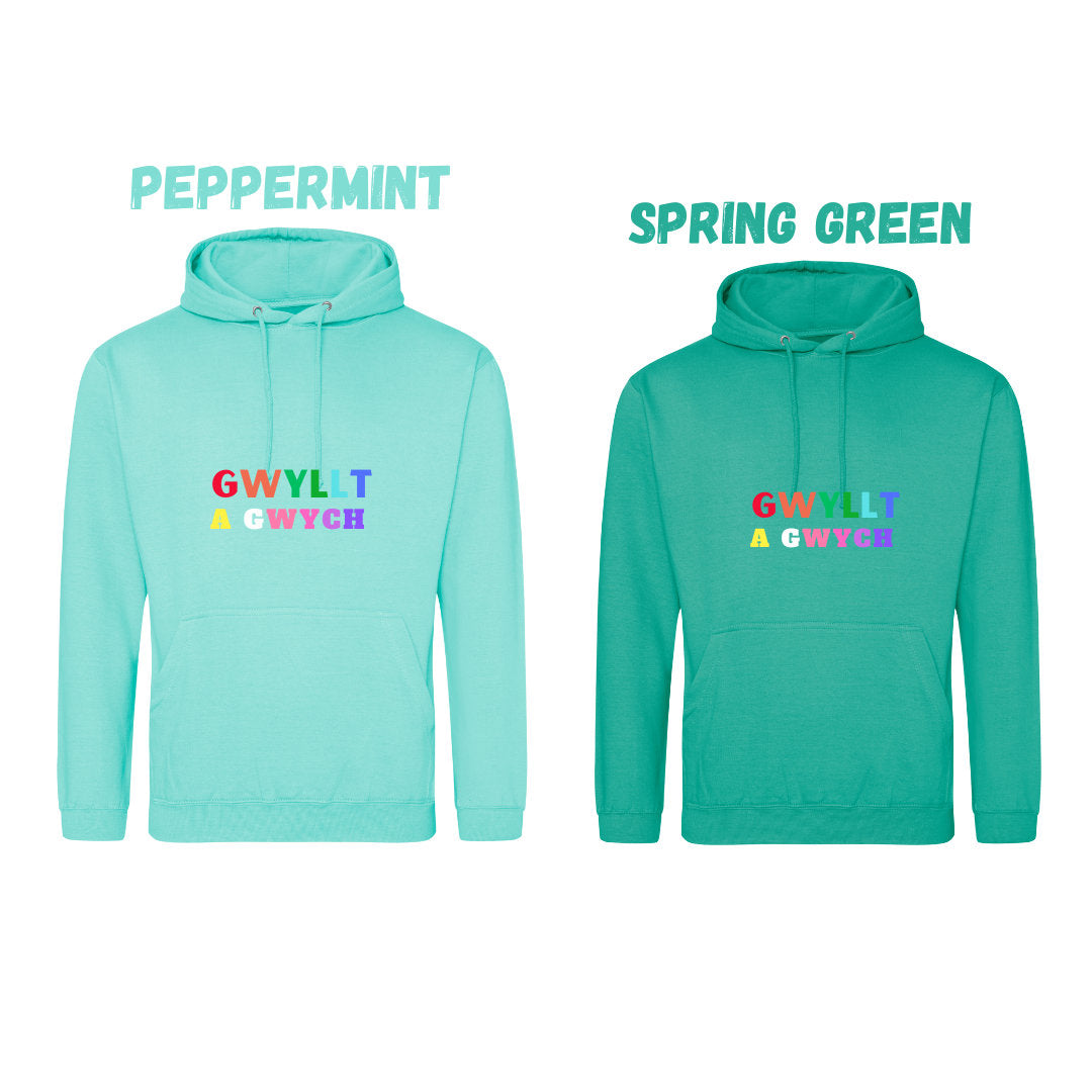 Gwyllt a Gwych adult Wild and Wonderful hoody ani-bendod hoody oedolion