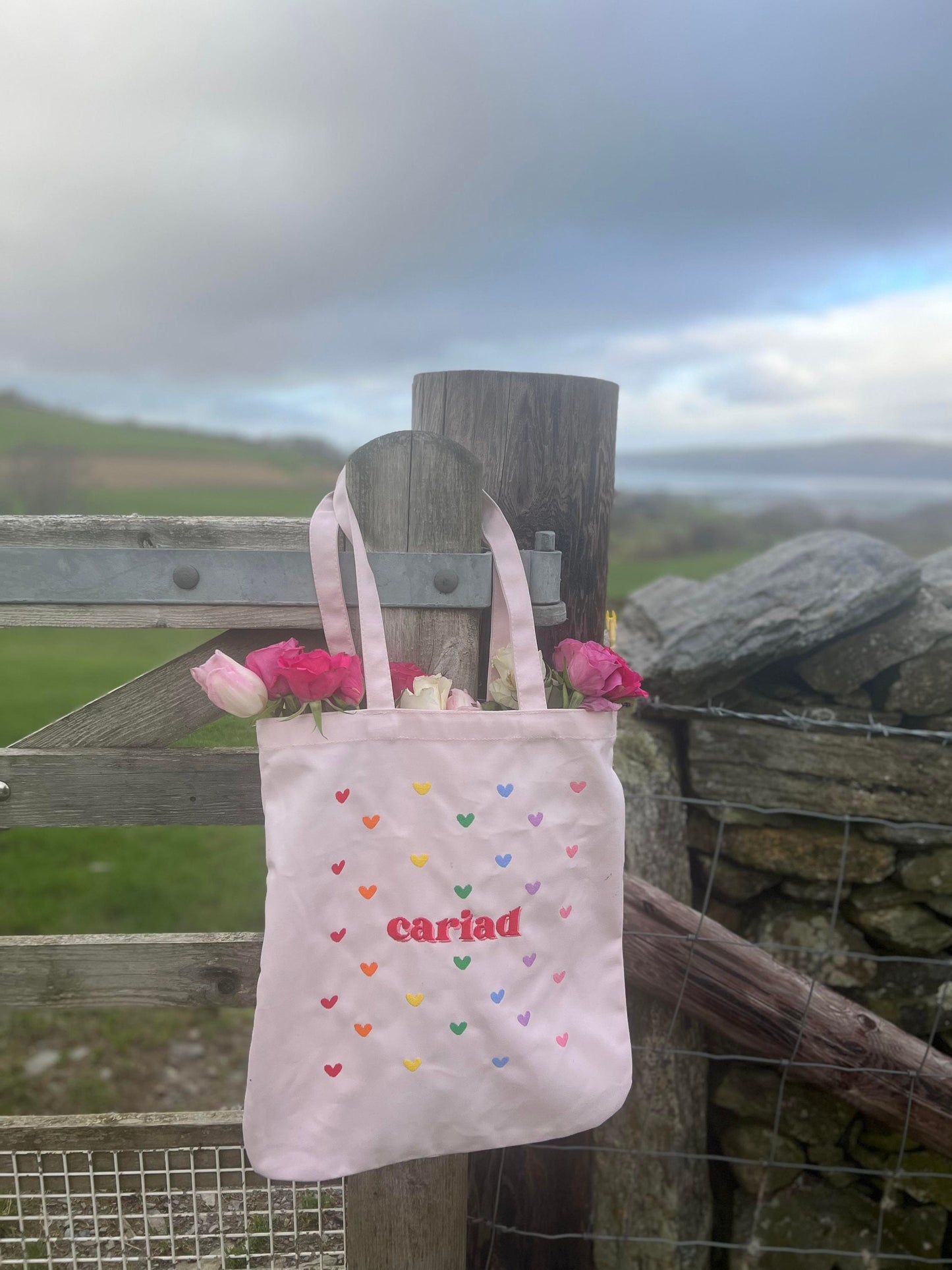 Totes CARIAD ani-bendod
