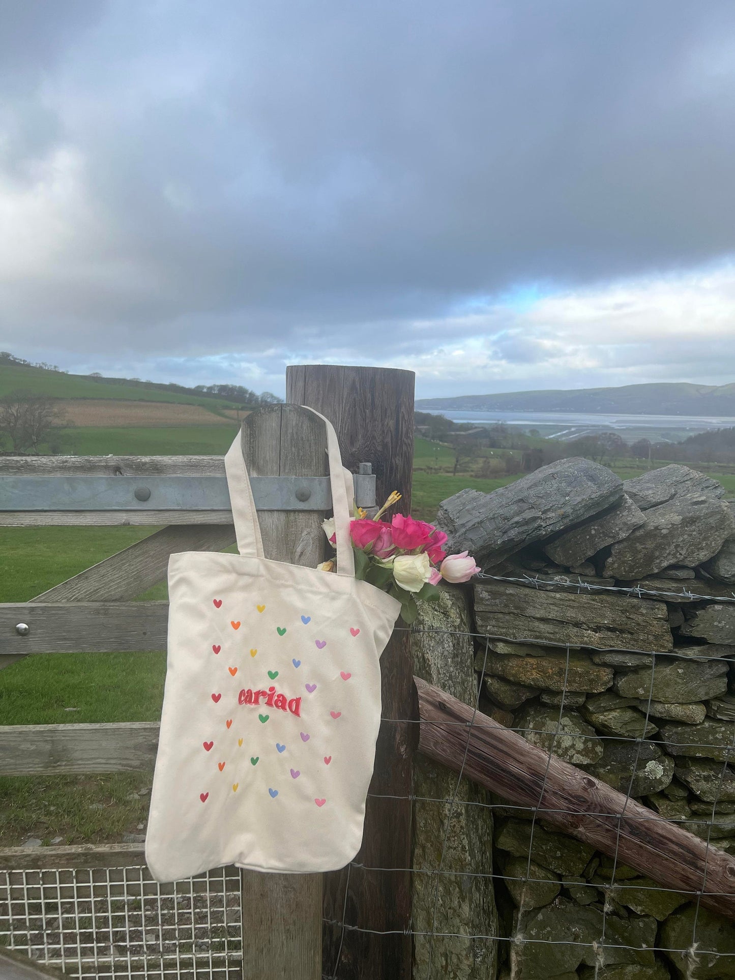 Totes CARIAD ani-bendod