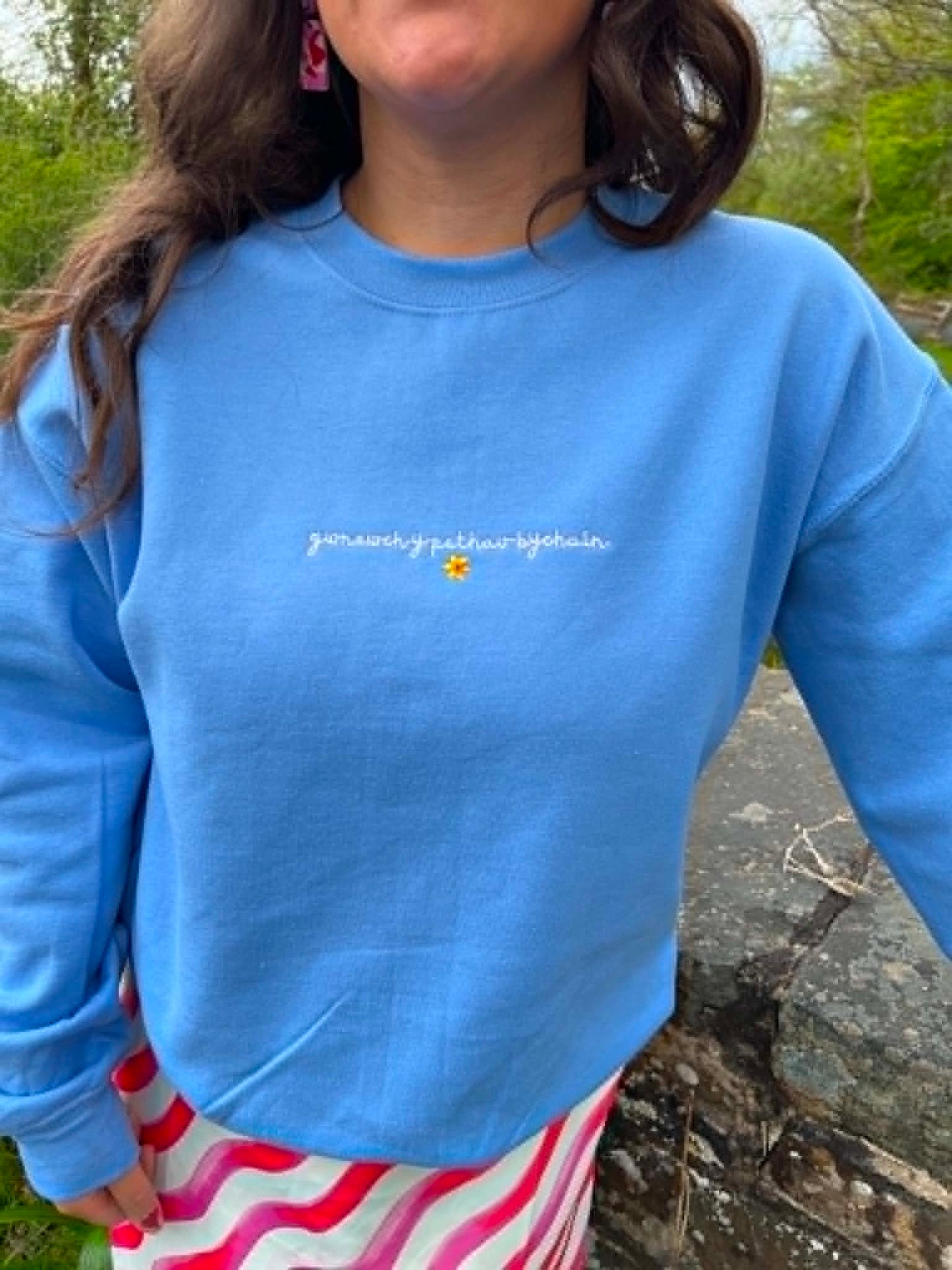 Siwmper Gwnewch y Pethau Bychain |  sweatshirt