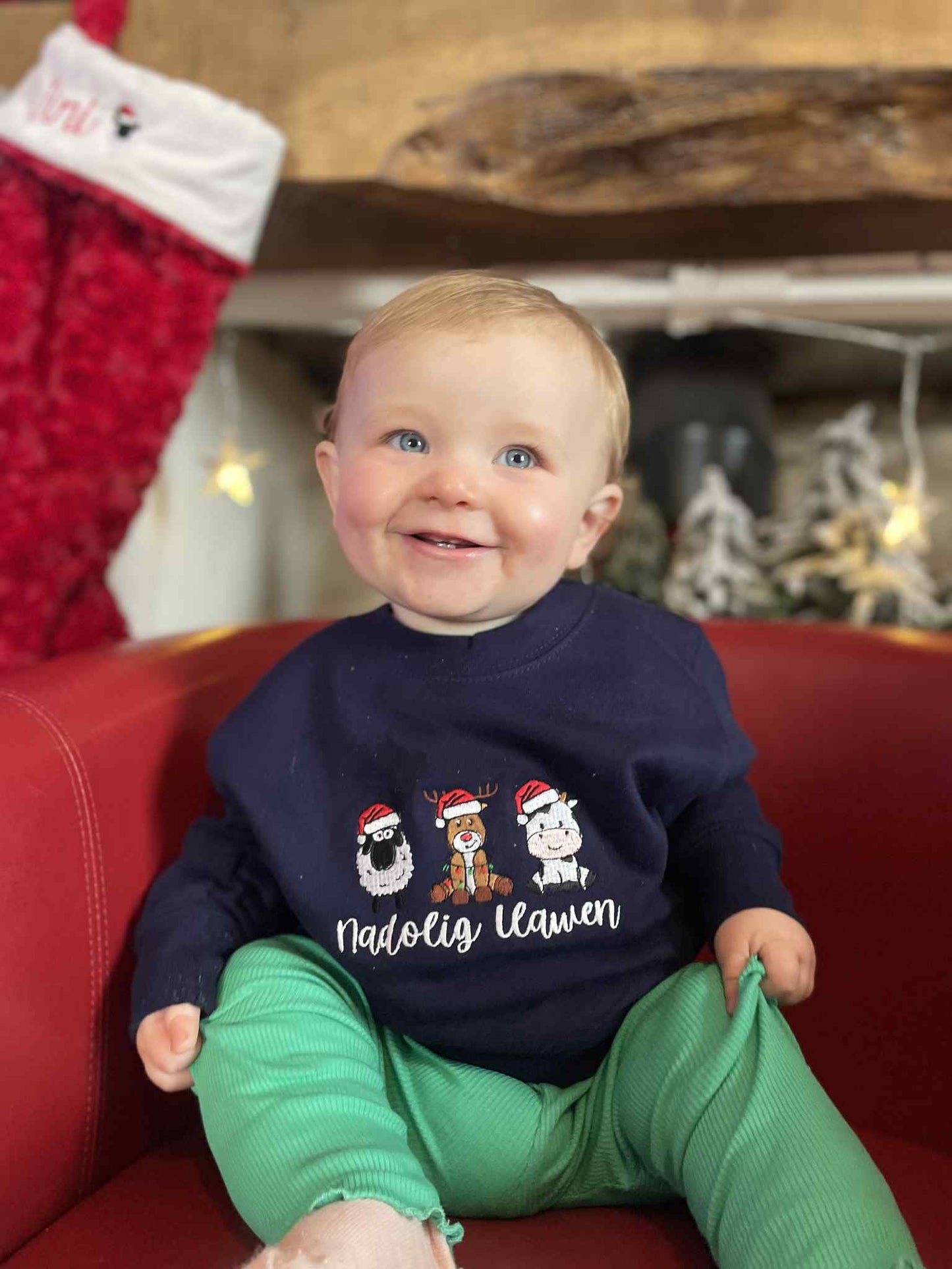 Siwmperi Nadolig Carw, Dafad, Buwch 2025 - Christmas jumpers Reindeer, Sheep, Cow