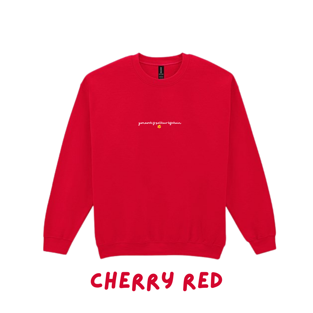 Siwmper Gwnewch y Pethau Bychain |  sweatshirt