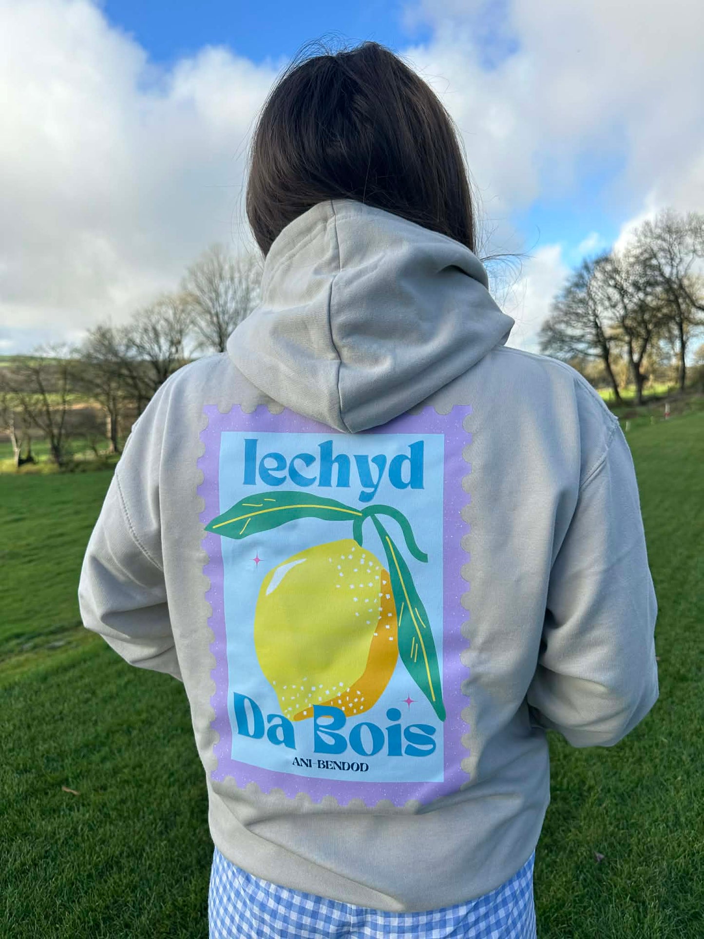 Hwdi Iechyd Da Lemwn | Iechyd Da Lemon Hoody