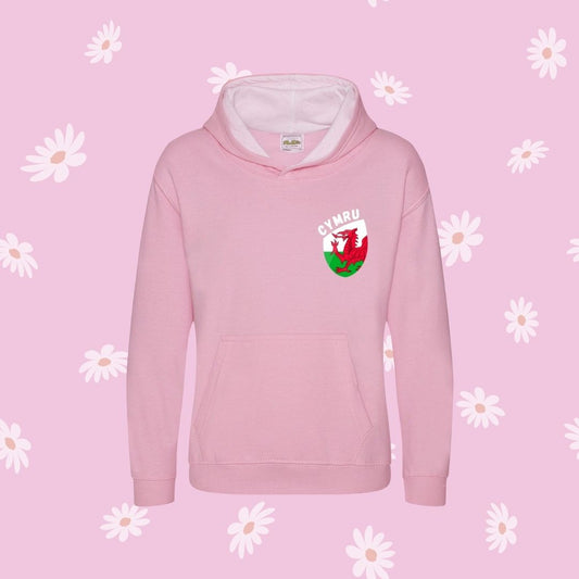 LEFTOVER STOCK - Hoody Cymru ani-bendod Wales - Pinc