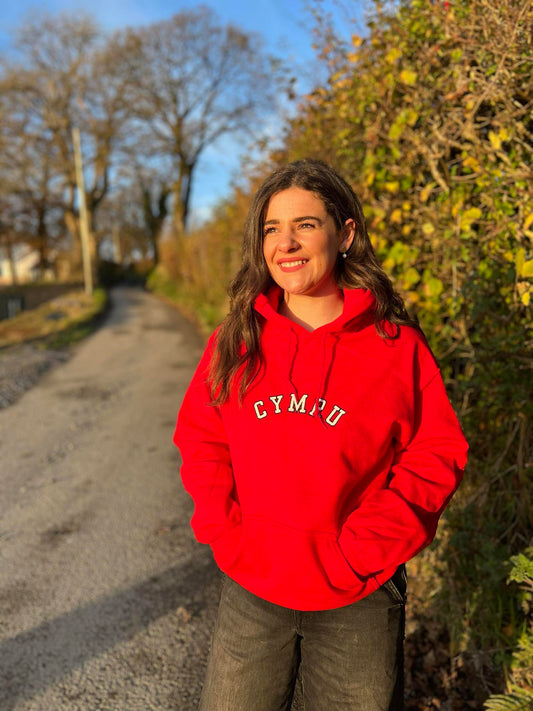 Hwdi CYMRU varsity Hoody