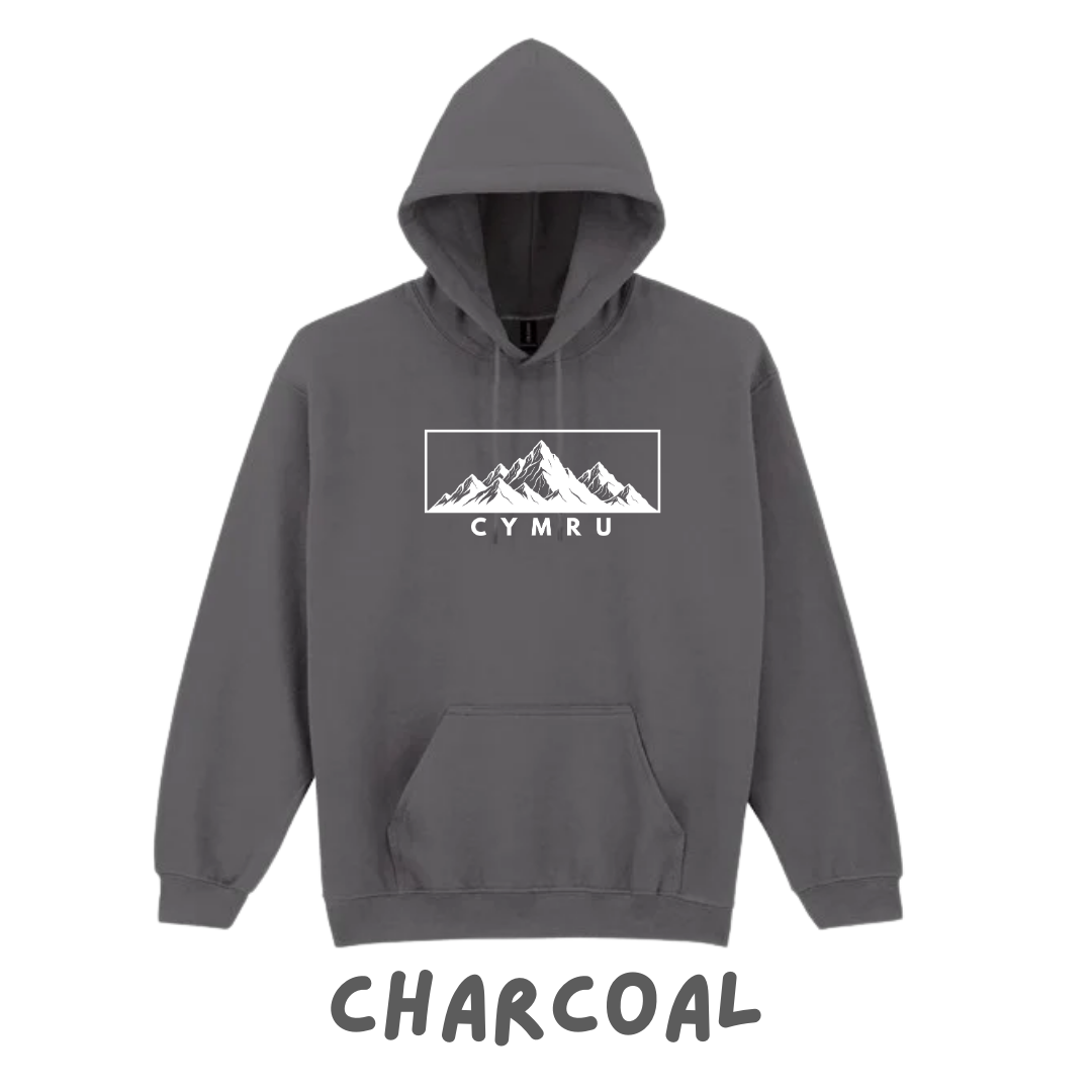 Hwdi Cymru | Cymru Hoody