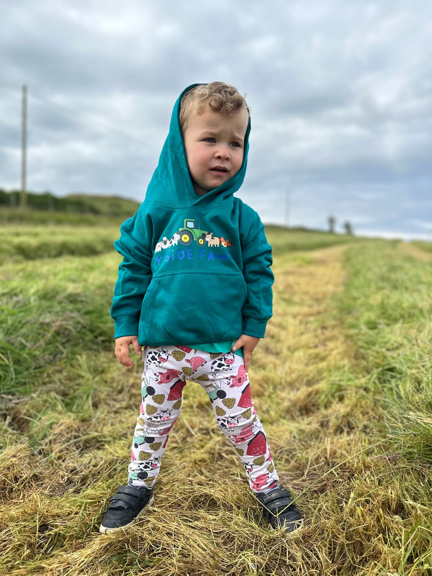 Hoody plant Y Sioe Fawr Kids Hoodie