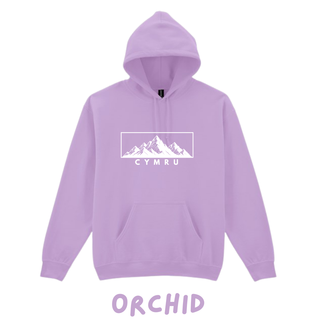 Hwdi Cymru | Cymru Hoody