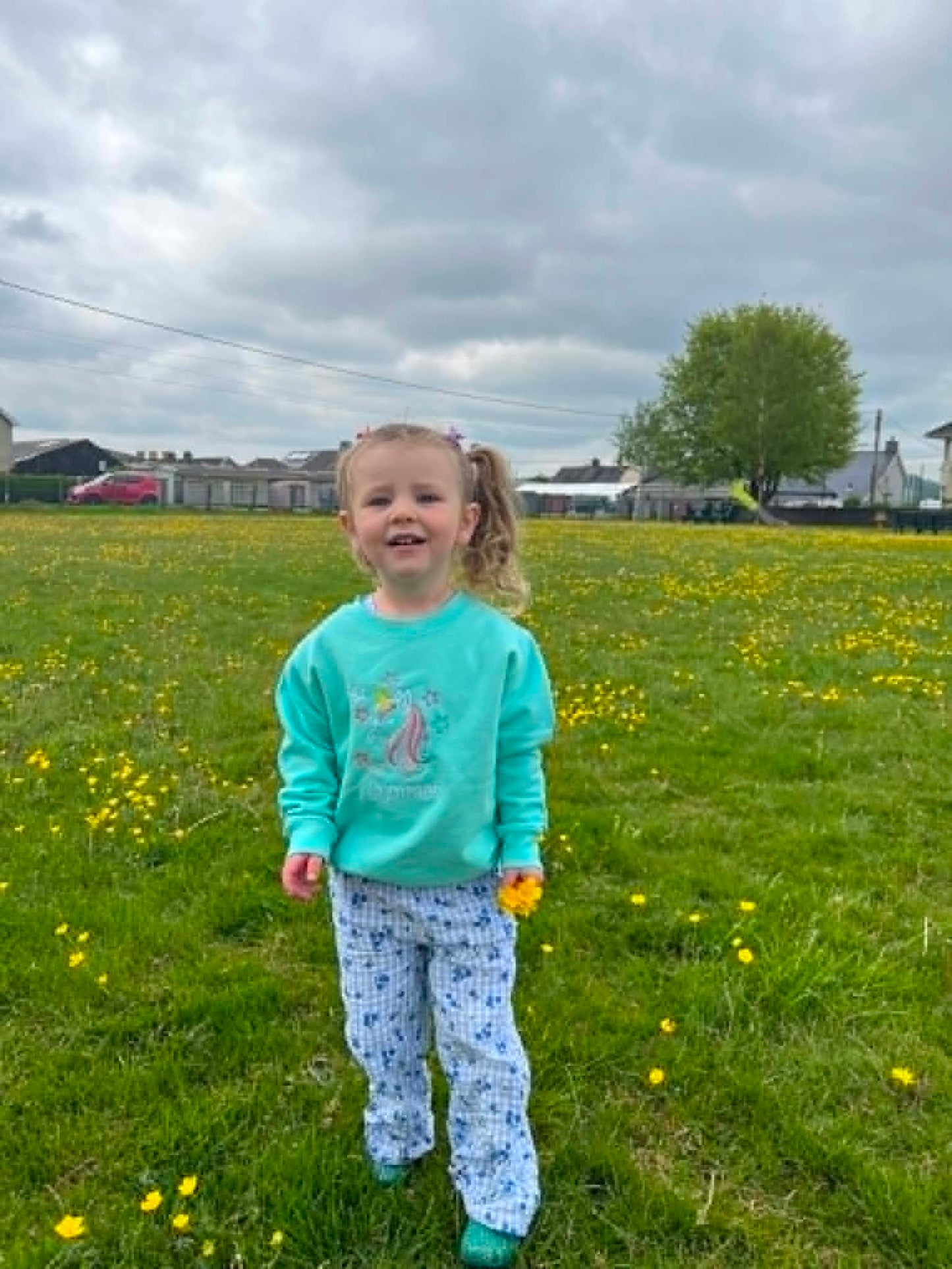 Siwmper Uncorn Cariad | Unicorn Cariad Sweatshirt