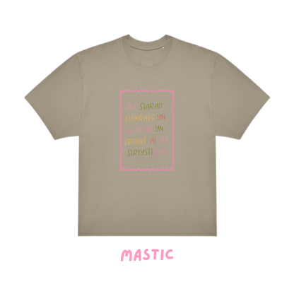 Crys T Oversized Mae Siarad Cymraeg yn fraint | Speaking Welsh is cool tee