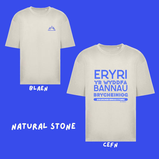 Crys T Gwarchod Enwau Cymru Oversized T-shirt