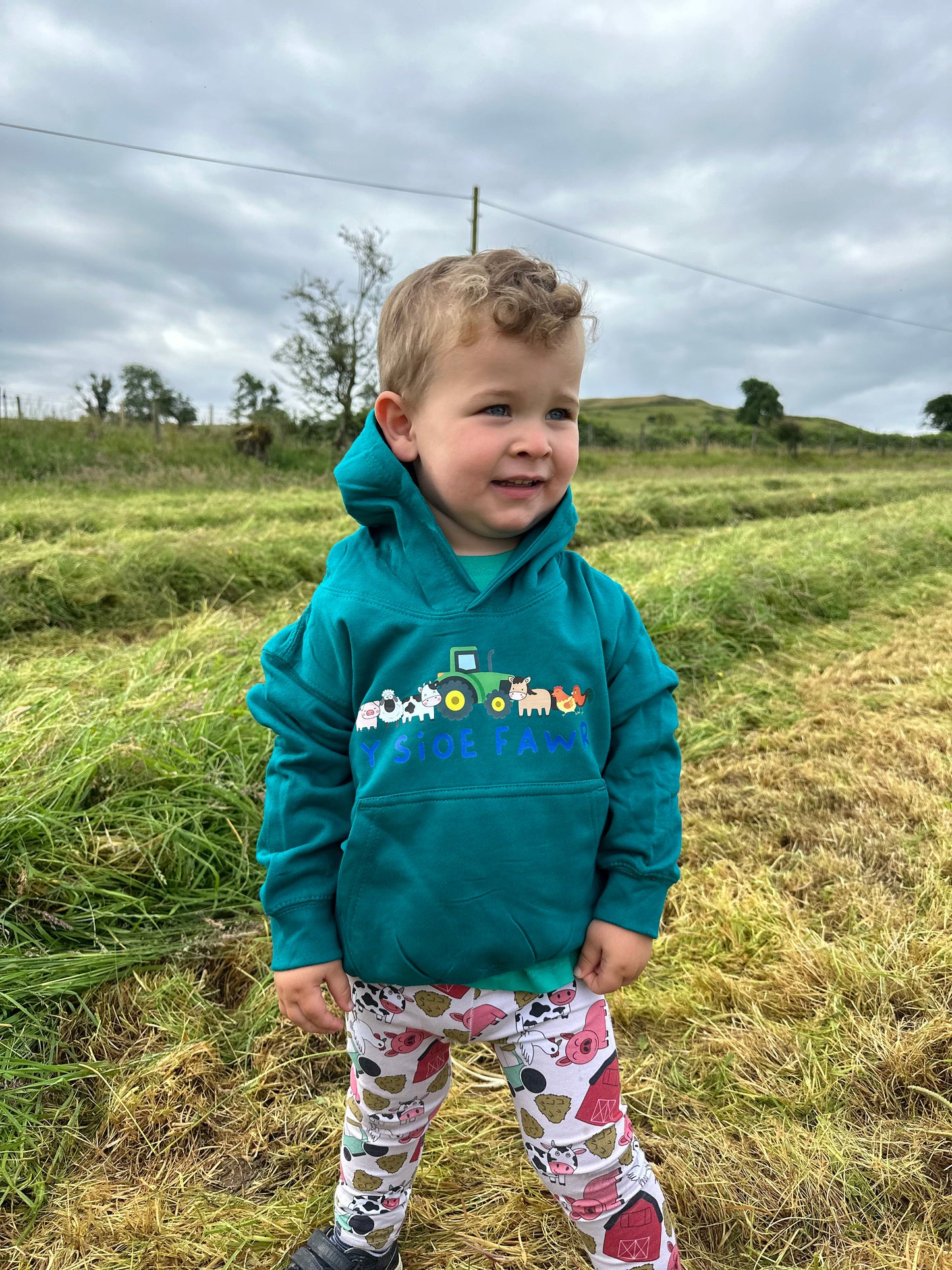 Hoody plant Y Sioe Fawr Kids Hoodie