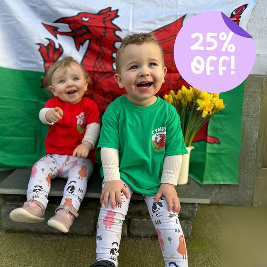 SALE Crys-T Cymru ani-bendod Wales T-shirt