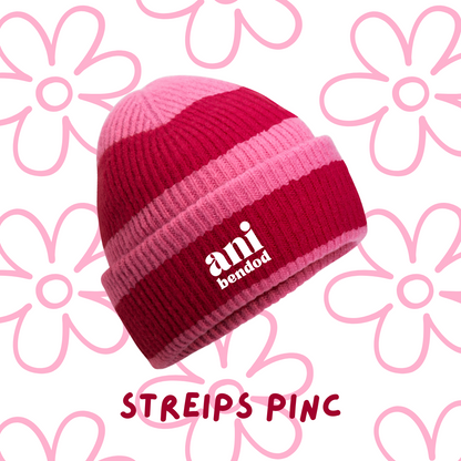 🎁 Beanie Ani-bendod (100% off)