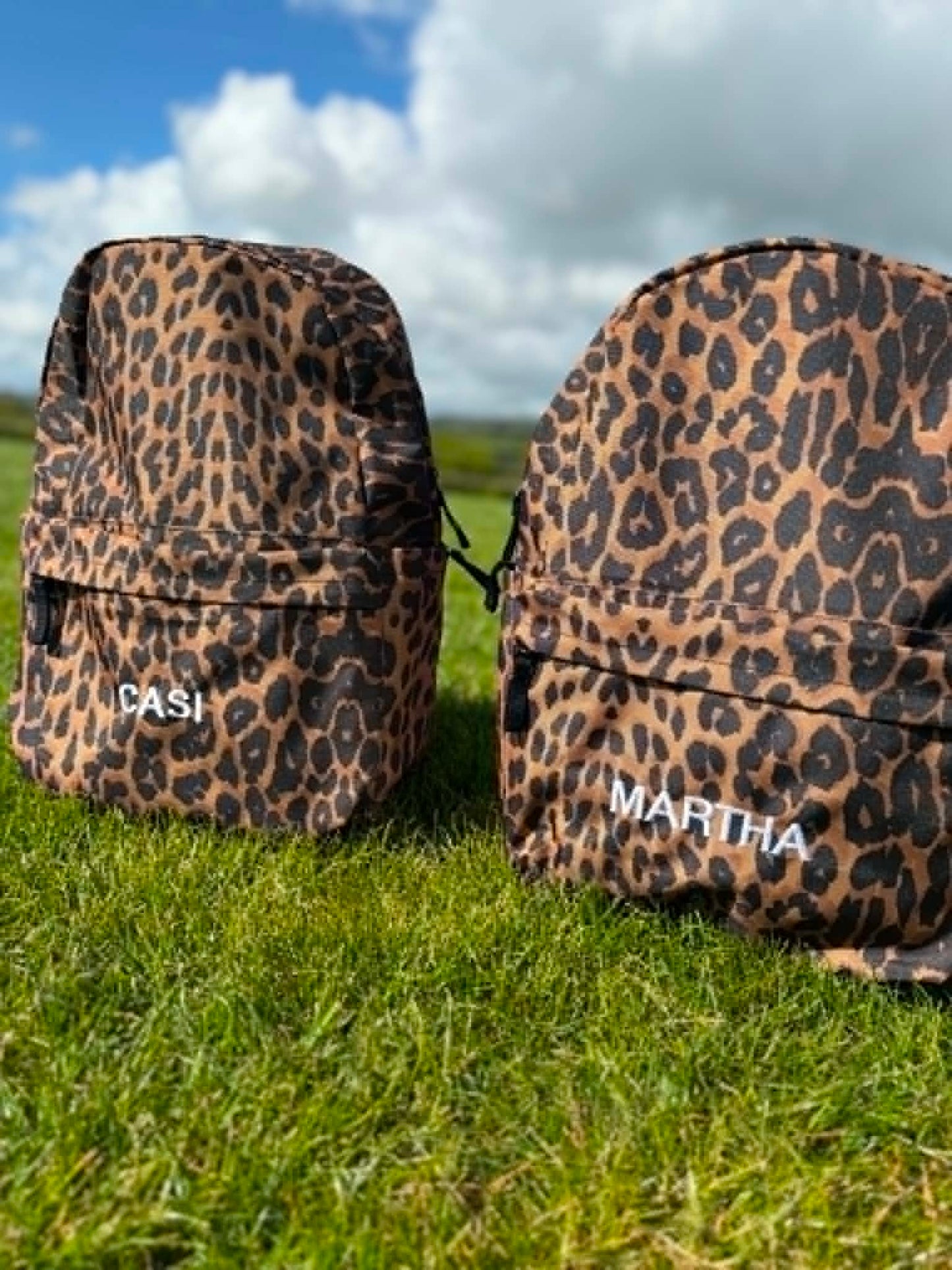 Bag llewpart mawr a bach | Leopard bag small and large