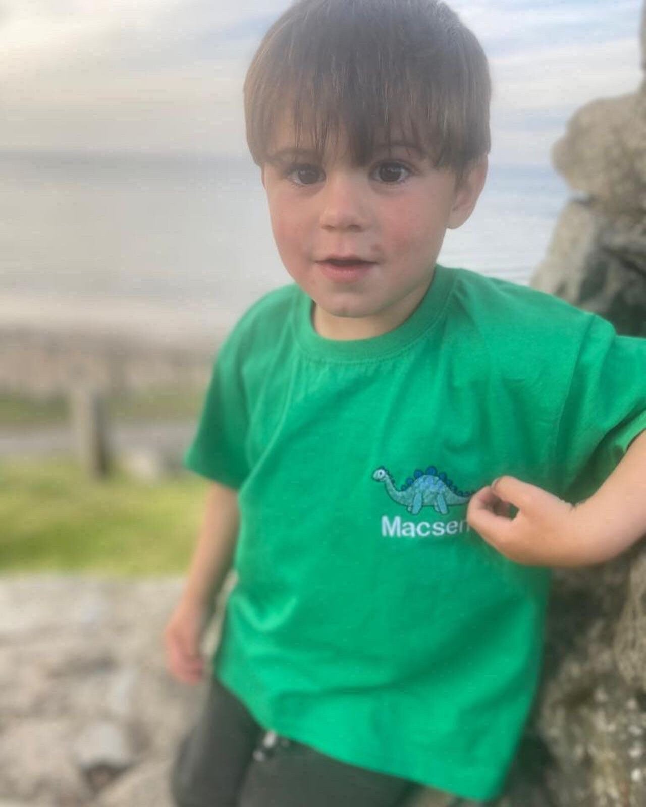 GWYRDD T-shirts GREEN- personalised plant/kids-ani-bendod