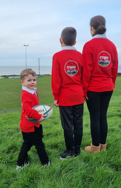 Crys rygbi Cymru- ani-bendod rugby shirt