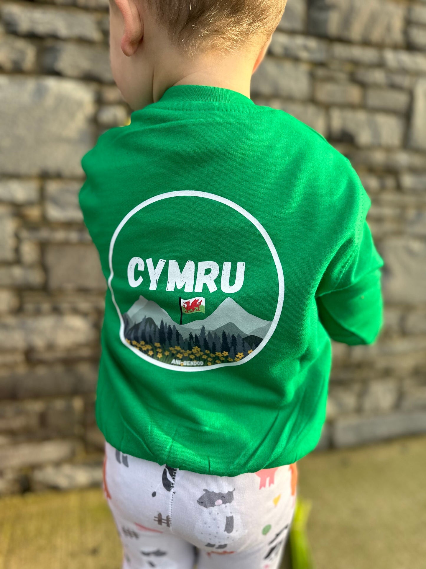 Siwmper Cymru- Wales Sweatshirt ani-bendod