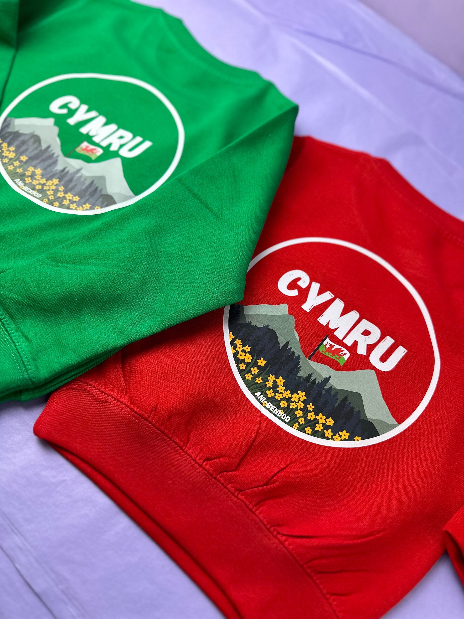 Siwmper Cymru- Wales Sweatshirt ani-bendod