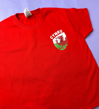 Crys-T Cymru ani-bendod Wales T-shirt