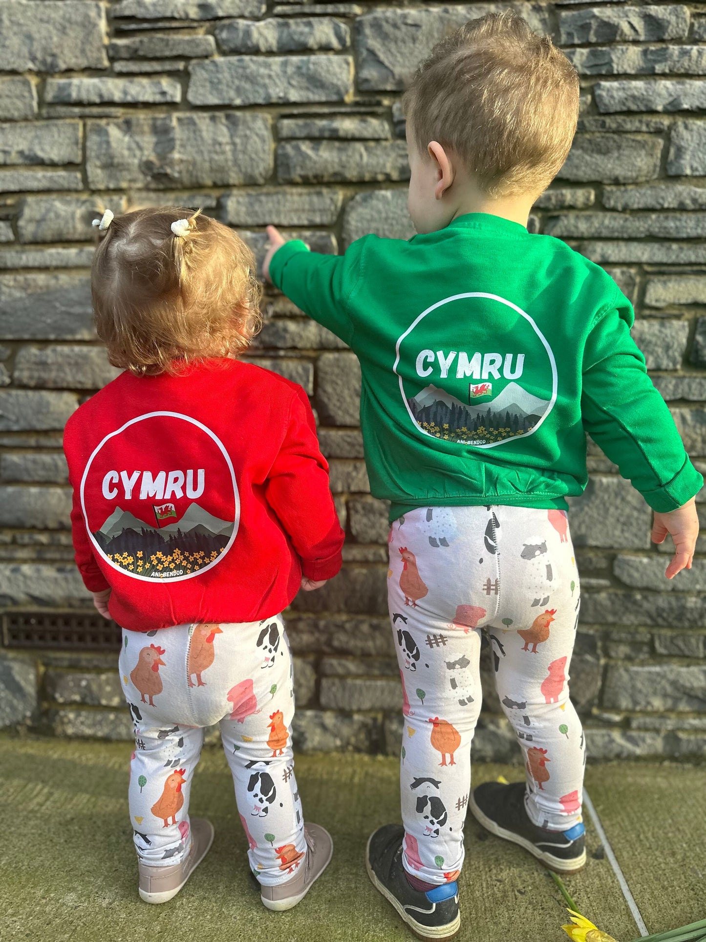 Siwmper Cymru- Wales Sweatshirt ani-bendod