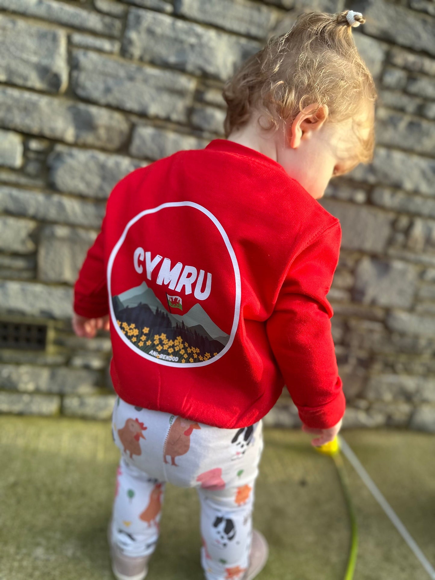 Siwmper Cymru- Wales Sweatshirt ani-bendod