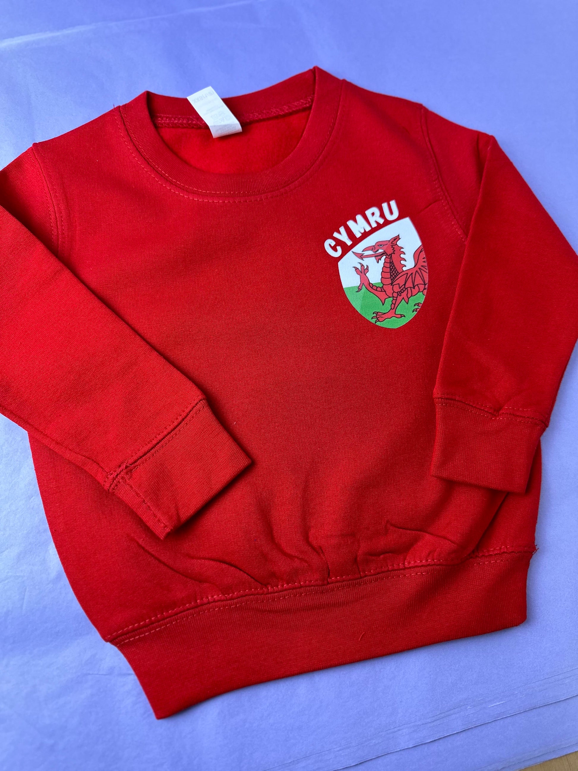 Siwmper Cymru- Wales Sweatshirt ani-bendod