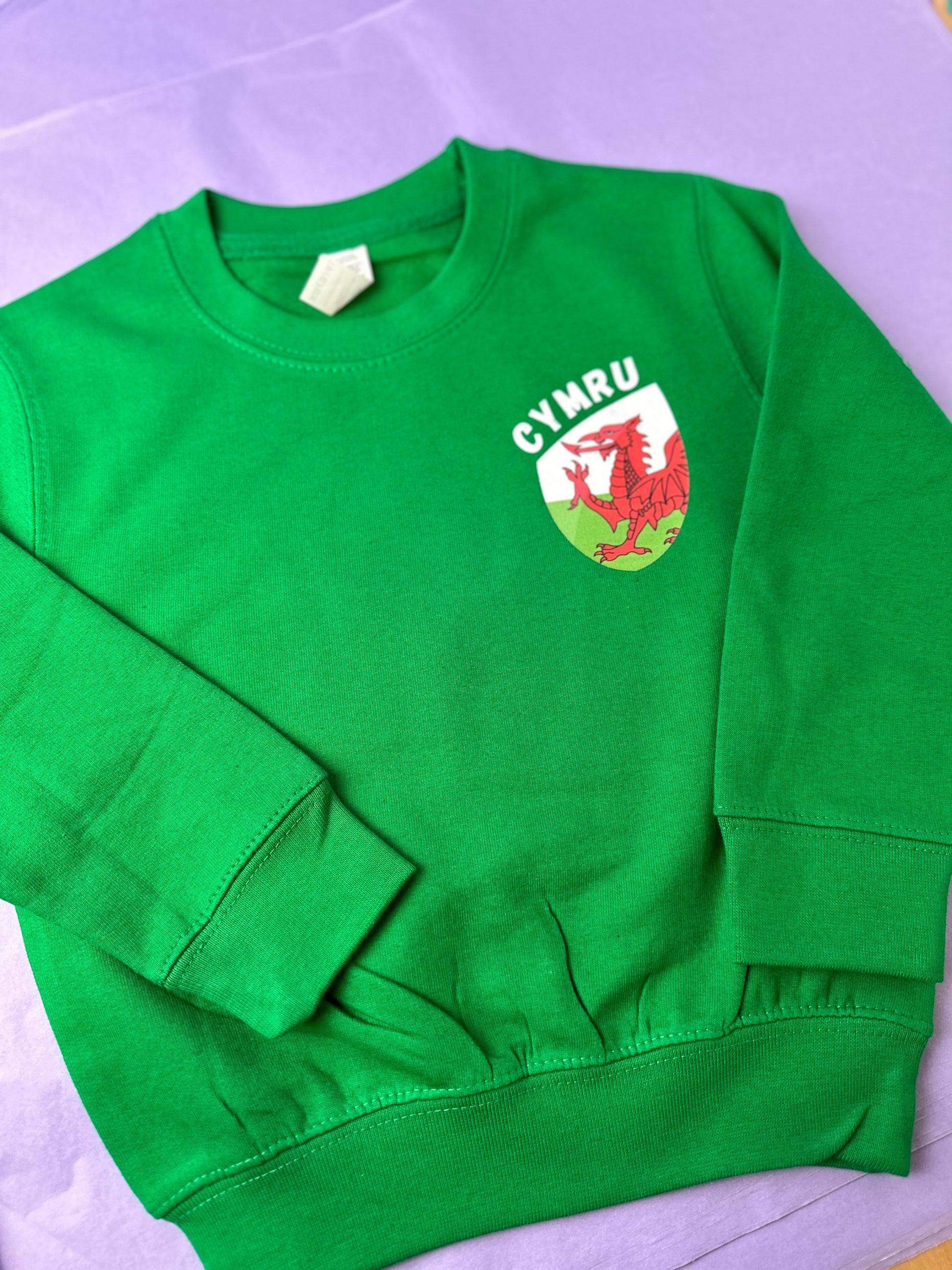 Siwmper Cymru- Wales Sweatshirt ani-bendod