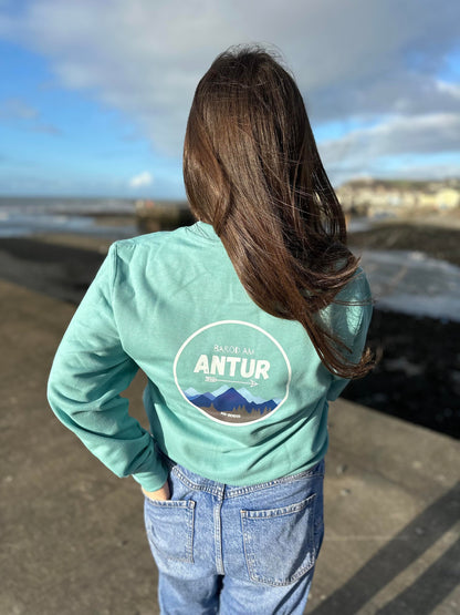 Antur adult Sweatshirt ani-bendod siwmper oedolion