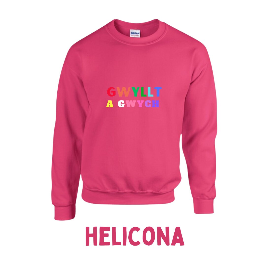 Gwych a gwyllt/Wild and wonderful adult Sweatshirt ani-bendod siwmper oedolion