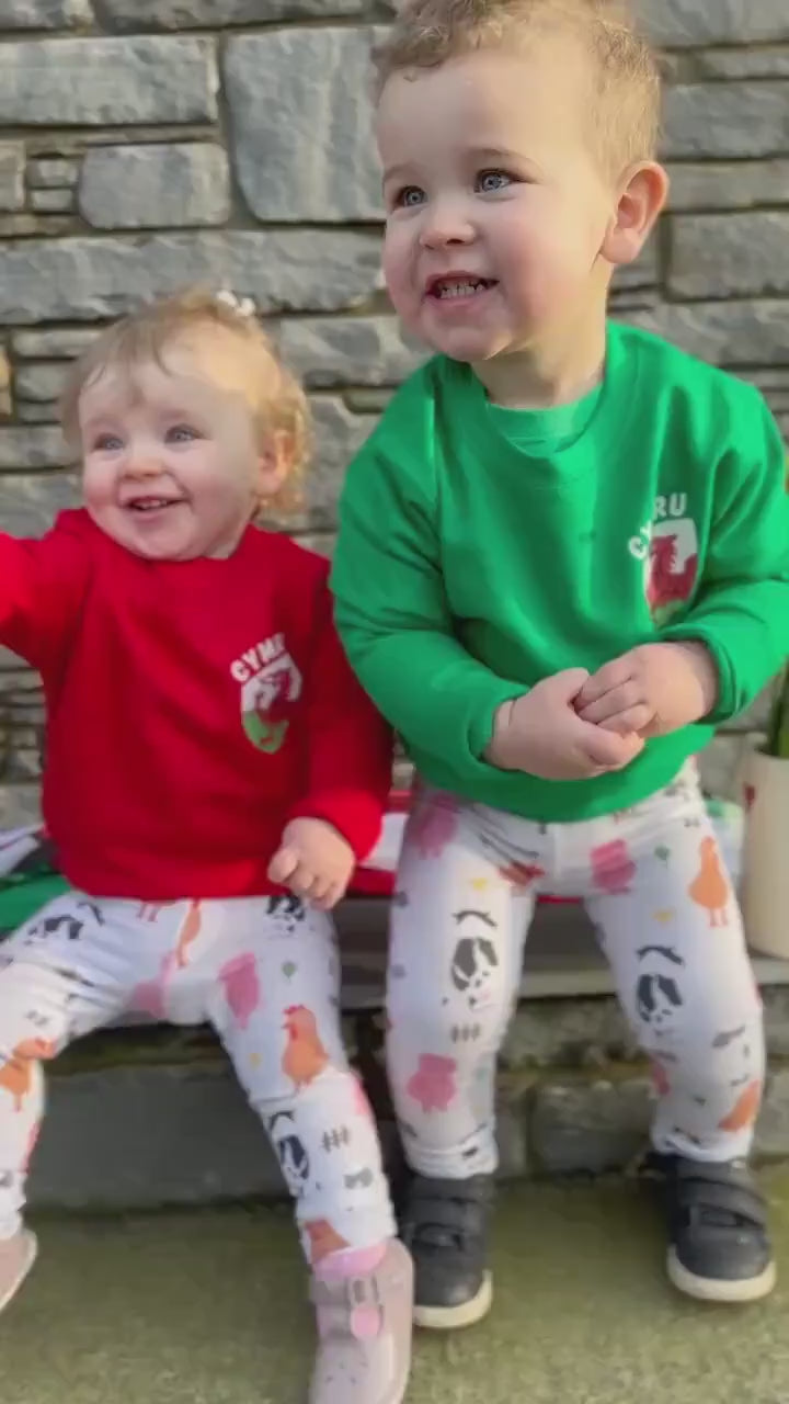 Siwmper Cymru- Wales Sweatshirt ani-bendod