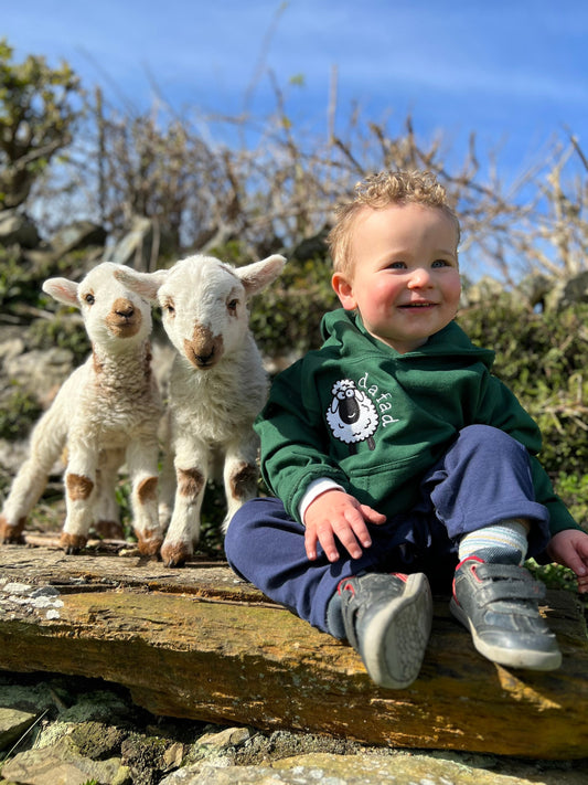 GWYRDD- Hoodies y fferm ani-bendod farm Hoodies GREEN